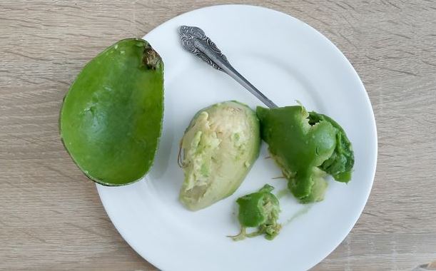Kiwi, Avocado and Yogurt Smoothie step 1
