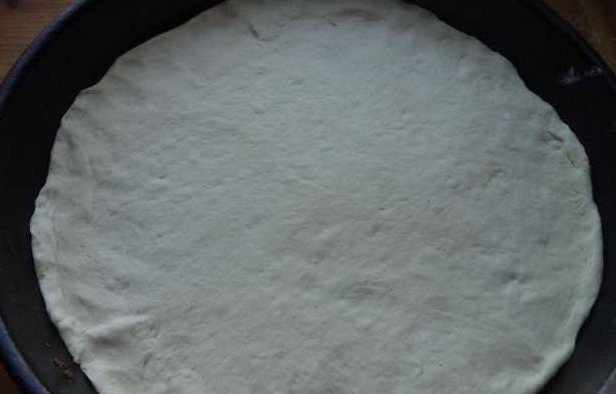 Yeast Pizza Dough