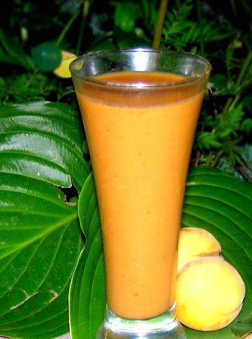 Summer Apricot Smoothie