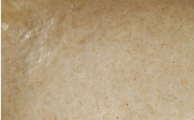 Yeast-Free Rye Sourdough for Bread