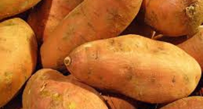 Facts About Sweet Rotato