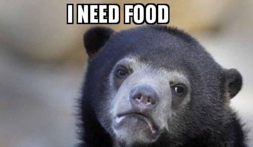 Funniest Food Memes