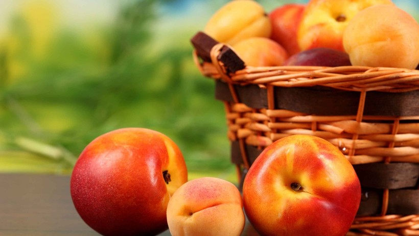 Facts About Nectarine