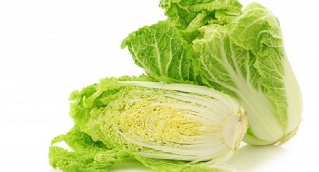 Facts About Chinese Cabbage