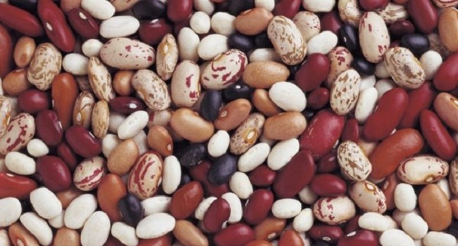 Facts About Beans
