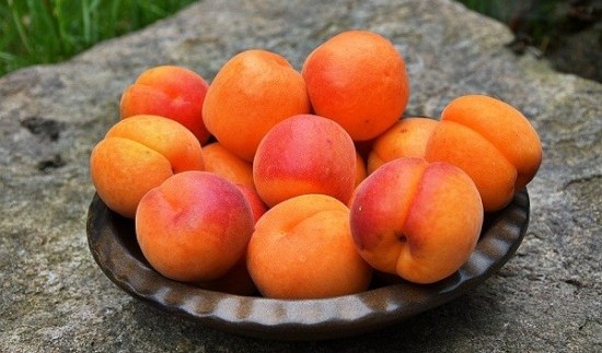 Facts About Apricots