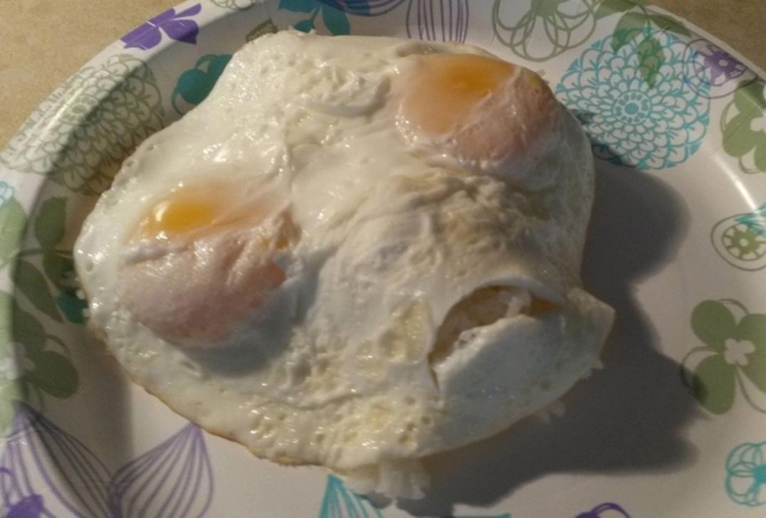This is what my scrambled eggs and rice looked like this morning