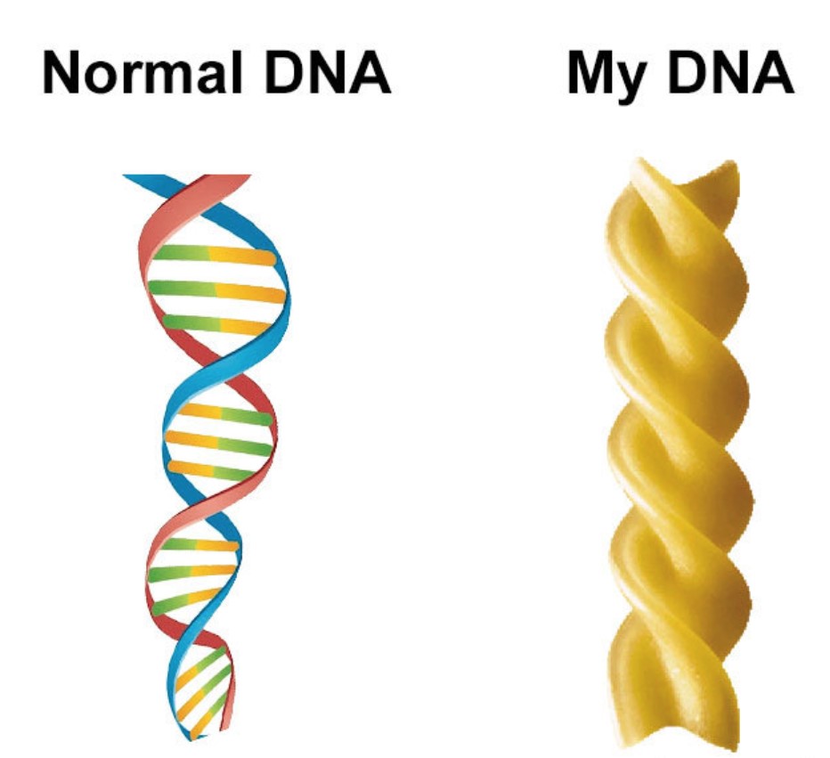 Funny Food Memes