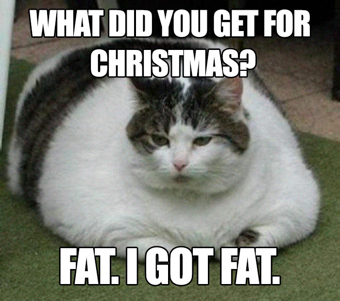 Funny Food Memes
