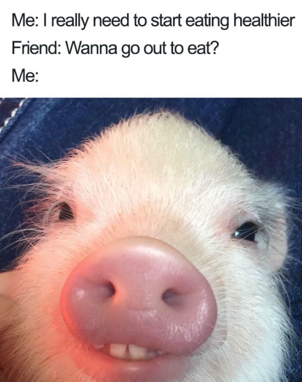 14-hilarious-food-memes
