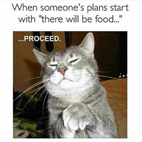 Best Food Memes
