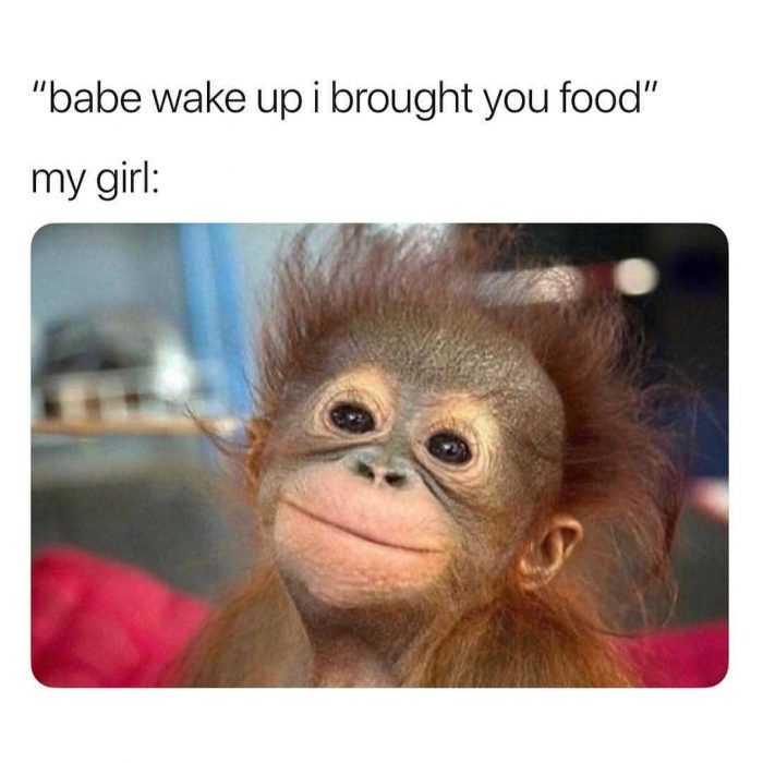 Best Food Memes