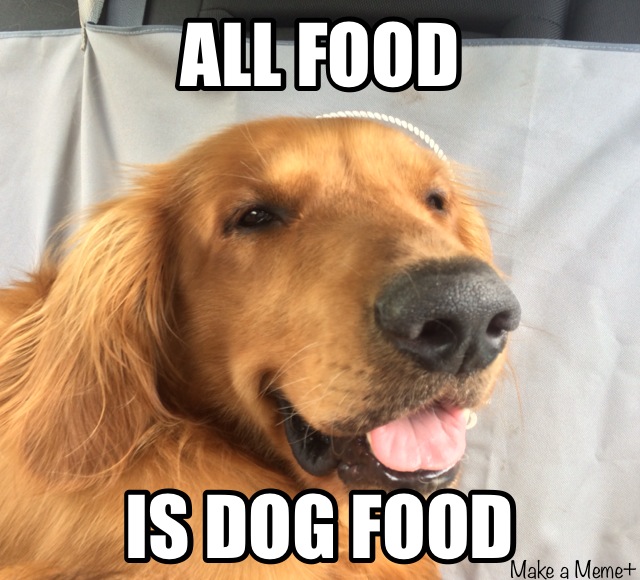 Best Food Memes