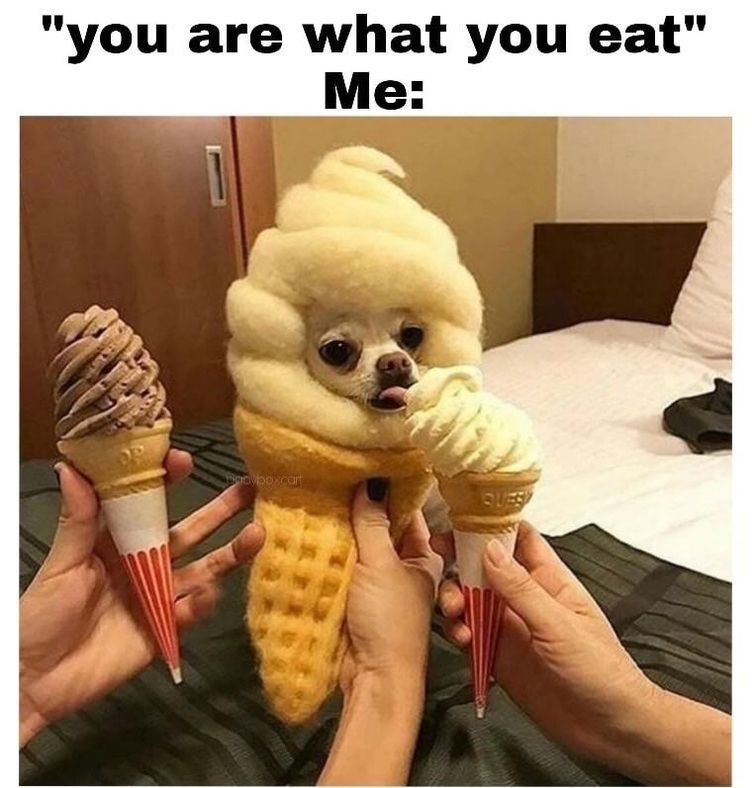 Best Food Memes