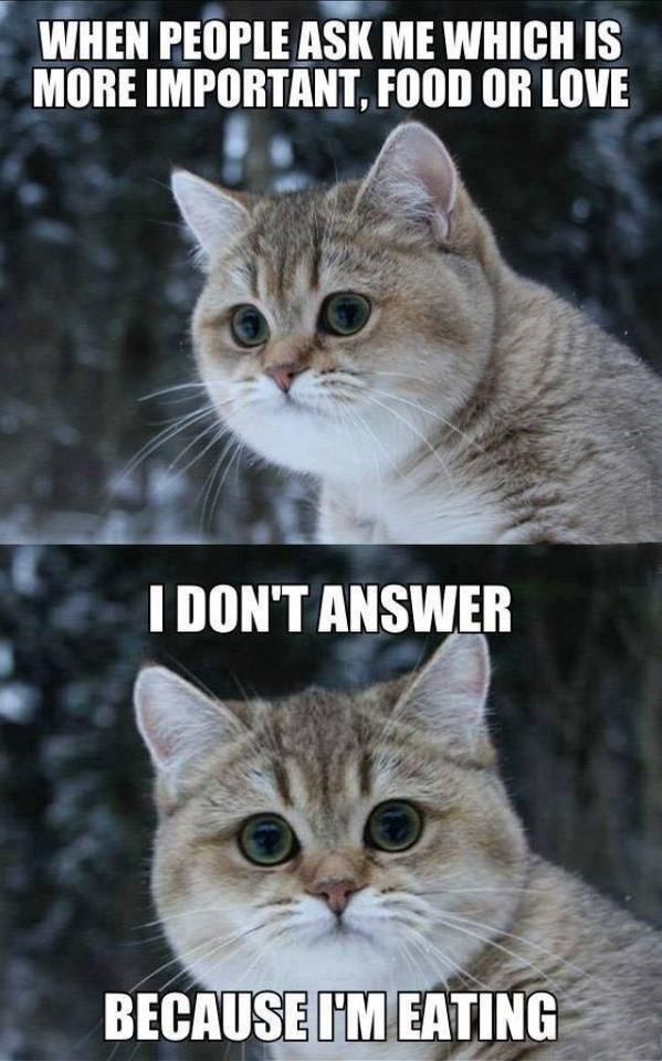 Best Food Memes