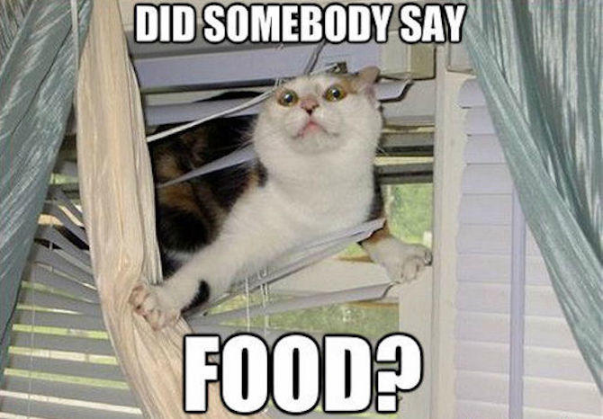 Funniest Food Memes