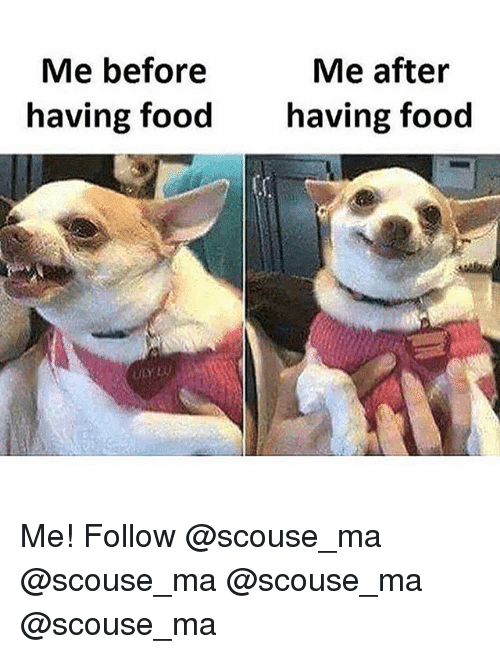Funniest Food Memes