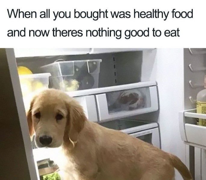 Funny Food Memes