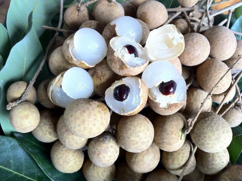 Facts About Longan