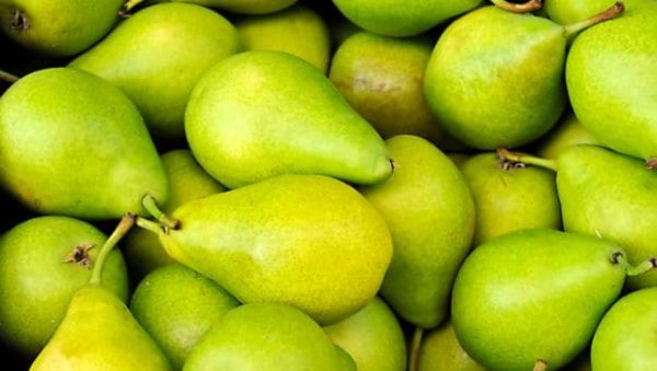 Facts About Pears