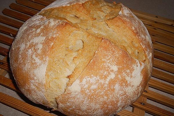 Alberto`s Pain De Campagne