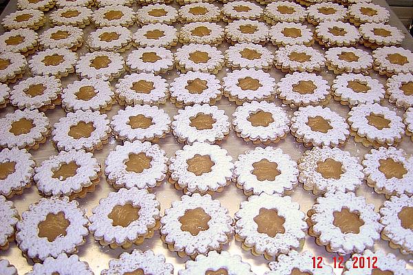 Apricot Rings
