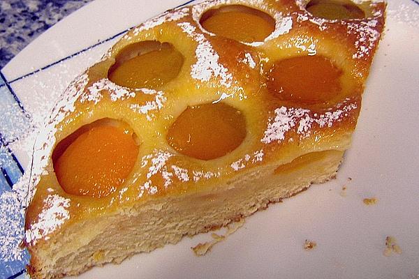 Apricot Yogurt Tart