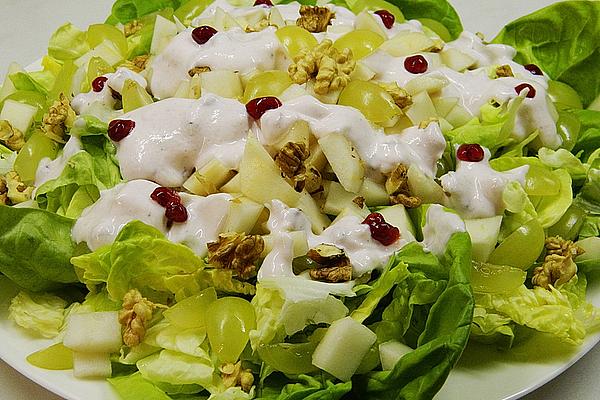 Autumn Lettuce
