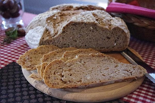Autumn Loaf – Autumn Sun