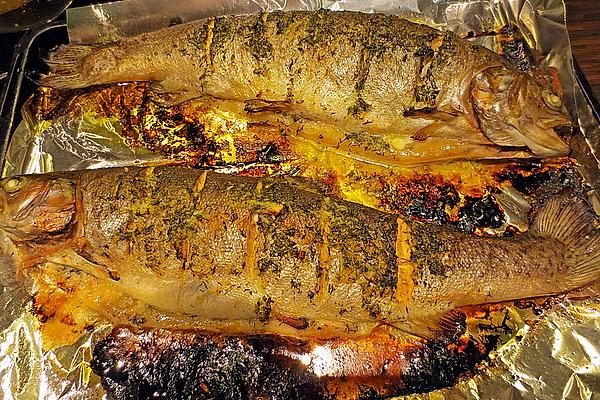 Baked Salmon Trout