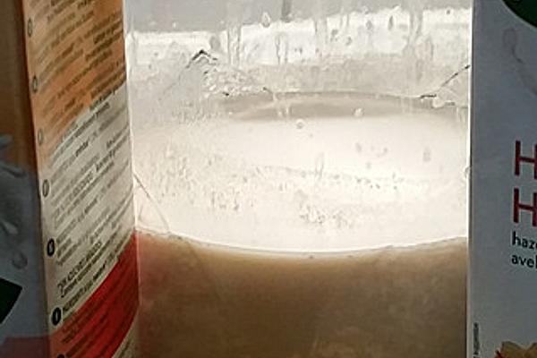 Best Vegan 2-minute Breakfast Milk