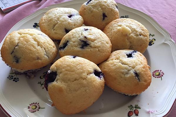 Blue Berry Muffins
