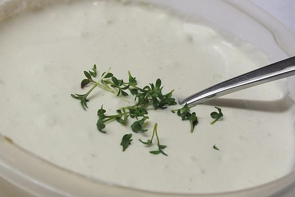 Blue Cheese Dressing