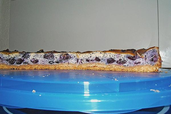Blueberry Poppy Seed Cake