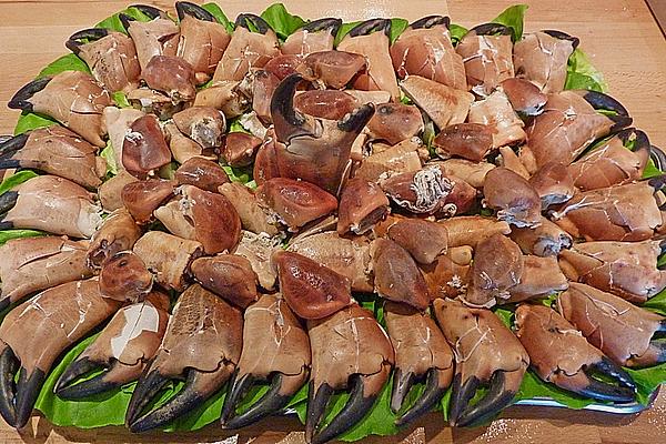 Crab Scissors (Knieper) According To Heligoland Style