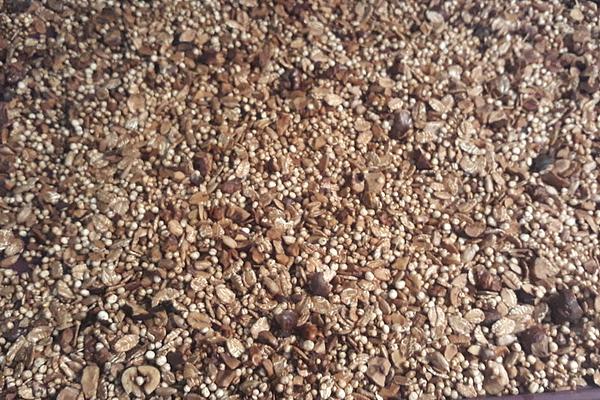 Crunchy Granola