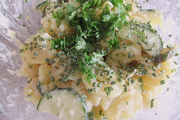 Cucumber – Potato – Salad