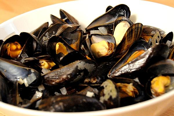Daniel`s Simple Mussels