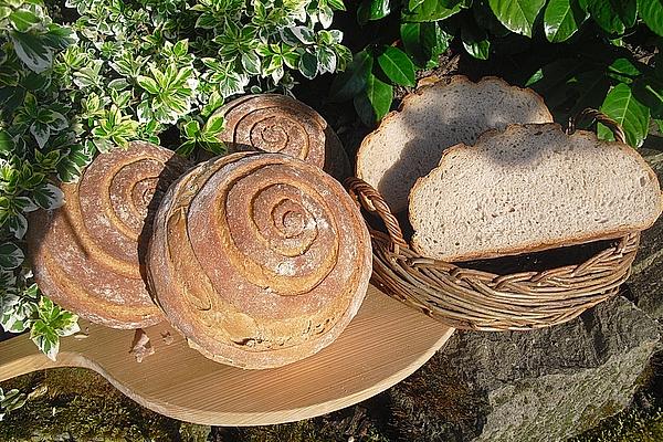 Delfina`s Farmer`s Crust