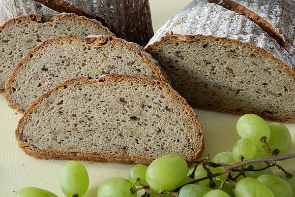 Delfina`s Hearty Farmer`s Bread