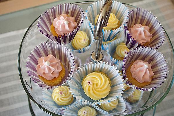 Eggnog – Chocolate – Muffins