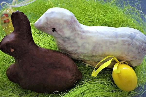 Eggnog – Lamb