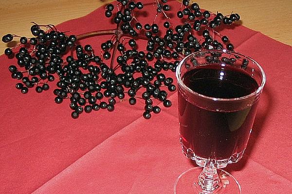 Elderberry Liqueur