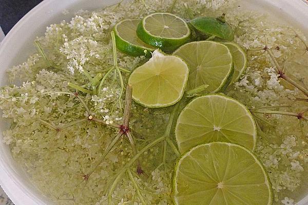 Elderberry Punch