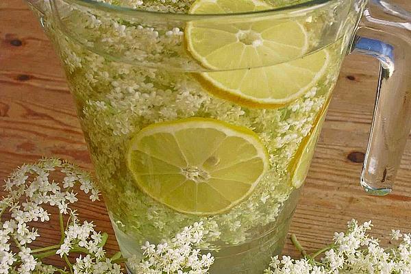 Elderflower – Drink
