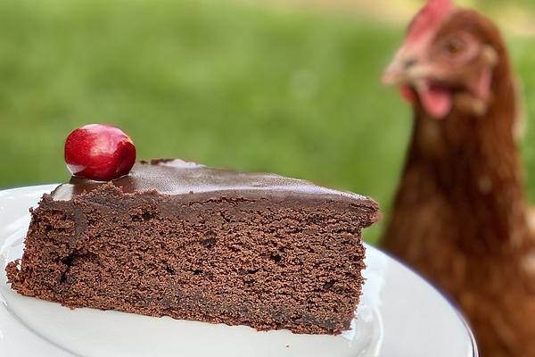 Favorite Chocolate Cake