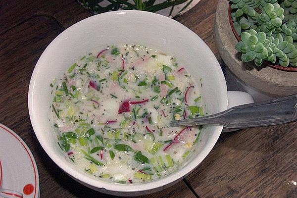 Fresh Russian Summer Soup for Hot Days