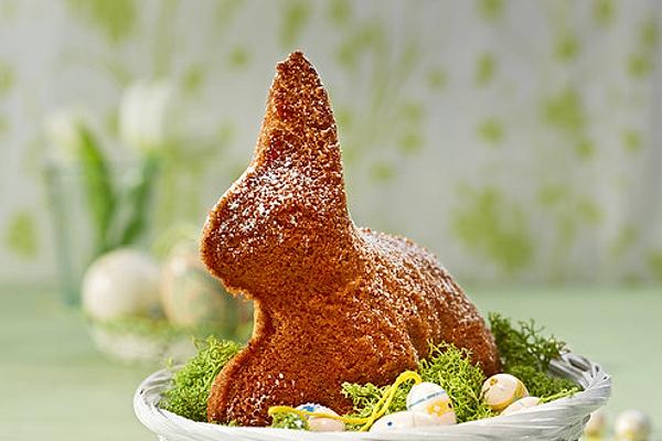 Hazelnut-bunny