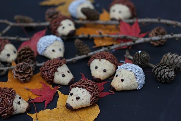 Hedgehog Christmas Cookies