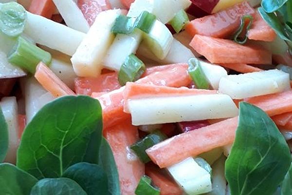 Kohlrabi Apple Salad with Honey Mustard Dressing